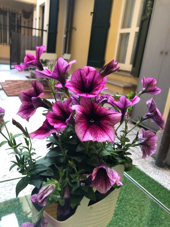 Apartmán Le Palme Boloňa Exteriér fotografie